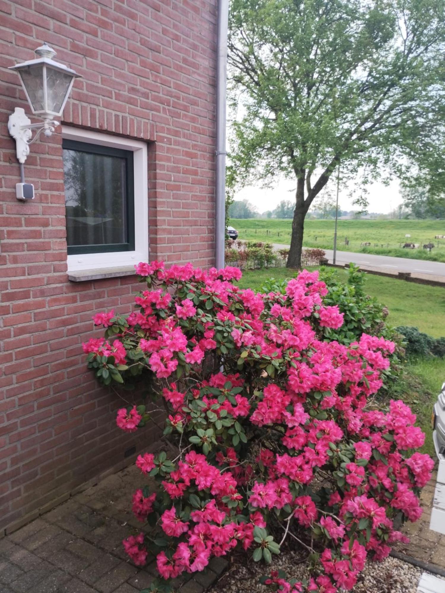 Laaker Villa Nearby Outlet Roermond Ohe en Laak Exterior photo